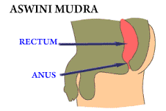 Ashwini Mudra