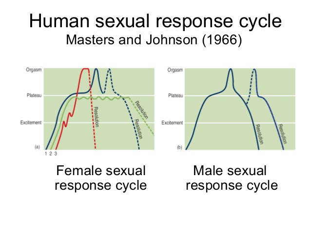 ayurveda sexual response cycle